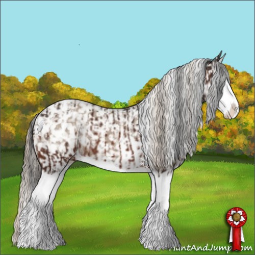 Horse Color:Brown Splash Appaloosa  and Chocolate Palomino Splash Appaloosa 