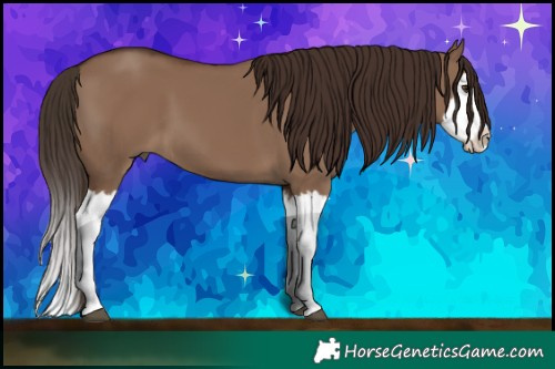 Horse Color:White Spotted Liver Red Dun Splash 