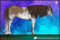 Horse Color:White Spotted Liver Red Dun Splash 