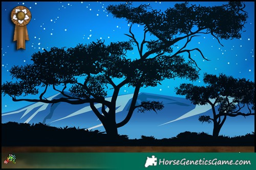 Horse Color:Black and Bay Frame