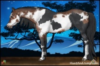 Horse Color:Black and Bay Frame