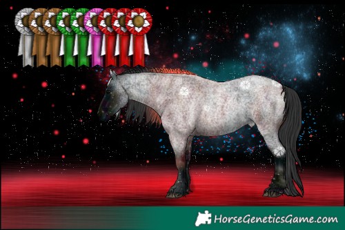 Horse Color:Midnight Blue Roan 