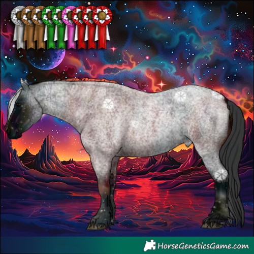 Horse Color:Midnight Blue Roan