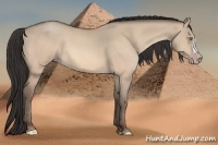 Horse Color:Sable Champagne Dun 