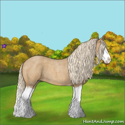 Horse Color:Palomino Roan Splash 