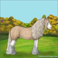 Horse Color:Palomino Roan Splash 