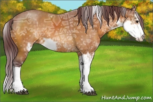 Horse Color:Chocolate Buckskin Ice Sabino 