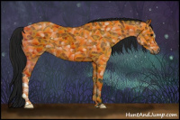 Horse Color:Gray Bay 