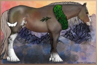 Horse Color:Silver Black Sabino 