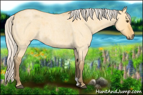 Horse Color:Silver Buckskin Roan Dun 