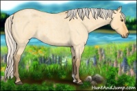 Horse Color:Silver Buckskin Roan Dun 
