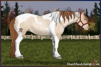 Horse Color:Smoky Grullo Roan Pearl Tobiano 
