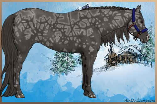 Horse Color:Smoky Black Ice 
