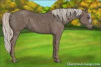 Horse Color:Silver Black 