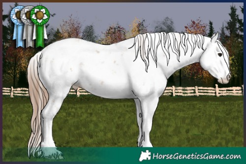 Horse Color:Grullo Pearl Sabino Rabicano 