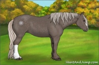 Horse Color:Silver Black 