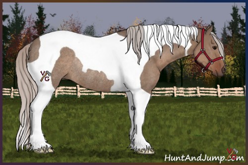 Horse Color:Silver Grullo Tobiano Rabicano 