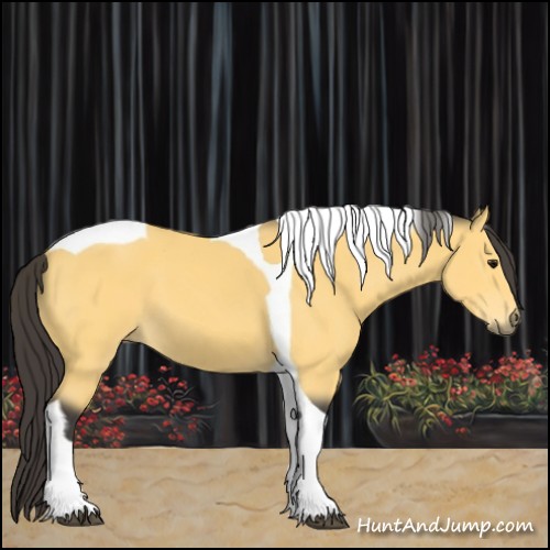 Horse Color:Buckskin Tobiano 