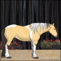 Horse Color:Buckskin Tobiano 