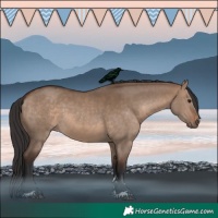 Horse Color:Brown Dun