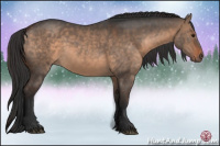 Horse Color:Brown Dun 