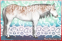Horse Color:White Spotted Bay Splash  and White Spotted Bay Splash 