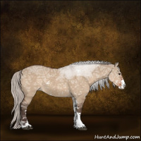 Horse Color:Silver Brown Ice Dun Sabino