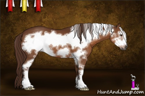 Horse Color:Gray Chestnut Sabino Frame