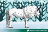 Horse Color:White Spotted Brown Dun Splash Tobiano 