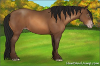 Horse Color:Gray Amber Champagne