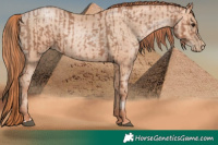 Horse Color:Black Pearl  and Classic Champagne Pearl 