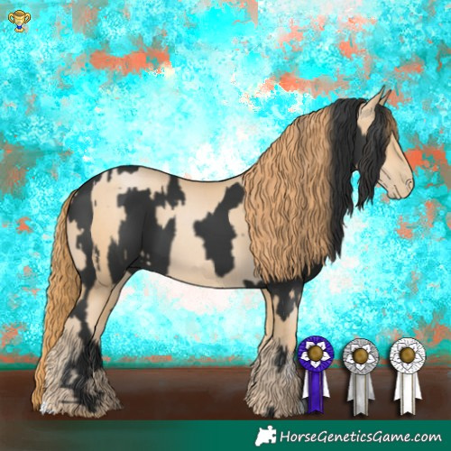 Horse Color:Black  and Smoky Black Pearl 