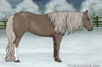 Horse Color:Silver Black 