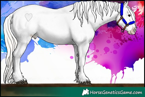 Horse Color:Silver Bay Roan Dun Varnish