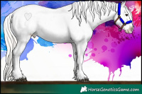 Horse Color:Silver Bay Roan Dun Varnish 