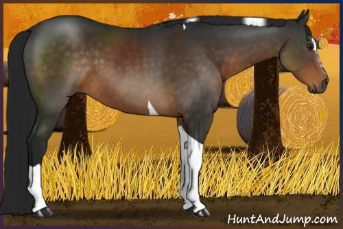 Horse Color:Gray Buckskin Sabino Tobiano 