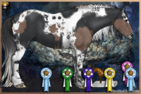 Horse Color:Silver Black Tobiano  and Black Splash Tobiano 