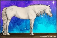 Horse Color:Perlino