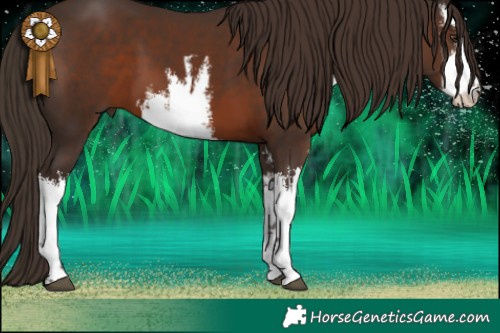 Horse Color:White Spotted Liver Chestnut 