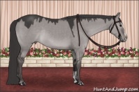 Horse Color:Platinum Smoky Grullo Sabino Rabicano 