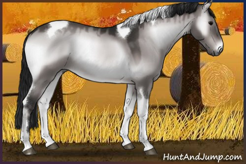 Horse Color:Gray Platinum Brown Onyx Tobiano