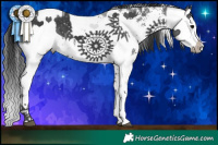 Horse Color:White Spotted Black  and White Spotted Black 