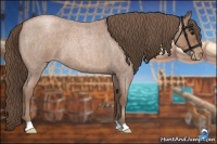 Horse Color:Blue Roan Pearl 