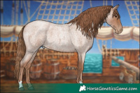 Horse Color:Blue Roan Pearl 