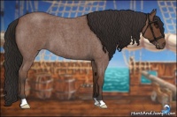 Horse Color:Bay Roan 