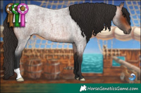 Horse Color:Bay Roan 