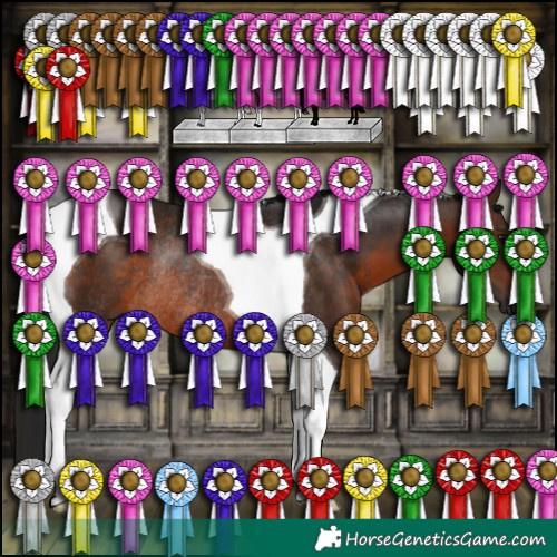 Horse Color:Gray Bay Tobiano Rabicano
