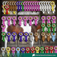 Horse Color:Gray Bay Tobiano Rabicano 