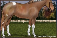 Horse Color:Chestnut Tobiano Rabicano 
