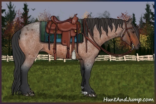 Horse Color:Bay Roan 